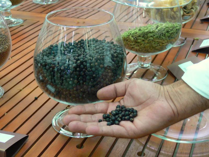 especies botánicas gin tonic